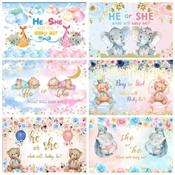 아기 성별 공개 소년 또는 소녀 그 또는 그녀 배경 BabyShower 파티 장식 배너 신생아 임신 엄마 사진 용품