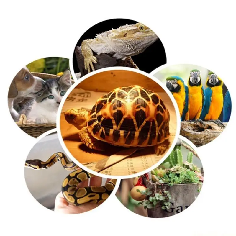 

QX2E Освещение для обитания рептилий и обогревательные лампы или обогреватель для птичьей клетки с подогревом на 360 ° Ночной