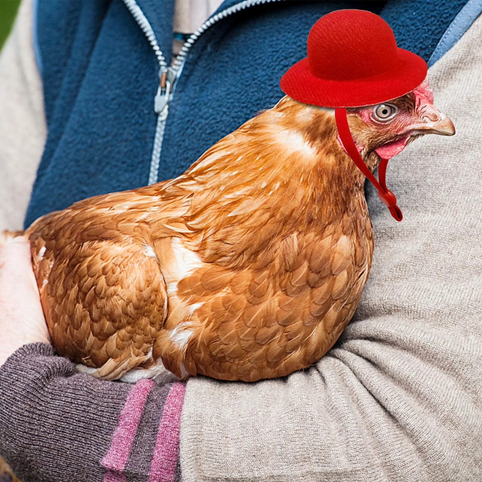 Pet Chicken Hat Funny Chicken Holiday Dress-Up Accessories Supplies Fashion Plush Top Hat with Fixing Rope for Poultry Tiny Pets