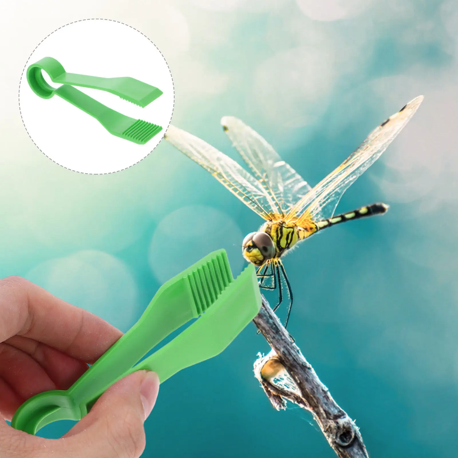 

10Pcs Plastic Tweezers for Kids Early Education Fine Motor Skills Training Tool Preschool Science Exploration Collecting Forceps