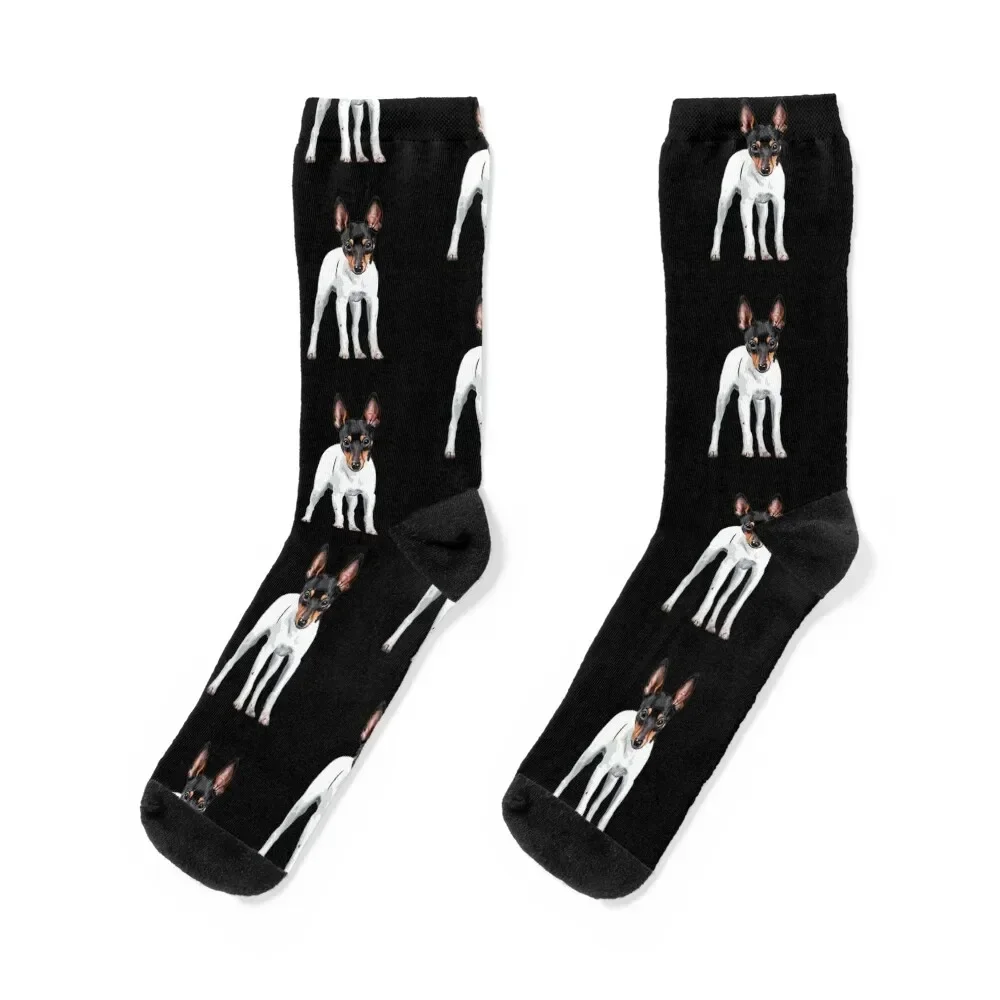 

Toy Fox Terrier Socks heated fashionable cute set Luxury Woman Socks Men's
