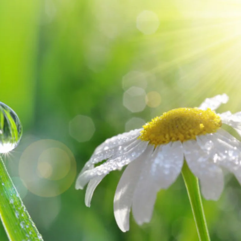 

4 шт., комплект резиновых шин диаметром 100 мм для Trxs Tamiya Losi Hub E-Revo 1/12/14/16/18, автомобильные шины для радиоуправляемых грузовиков, ремонт, обновление, аксессуары