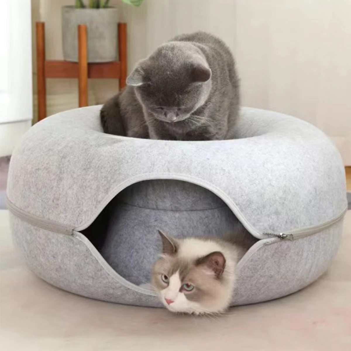 Thumbnail 3 - #56 Cat Beds Comparison Guide