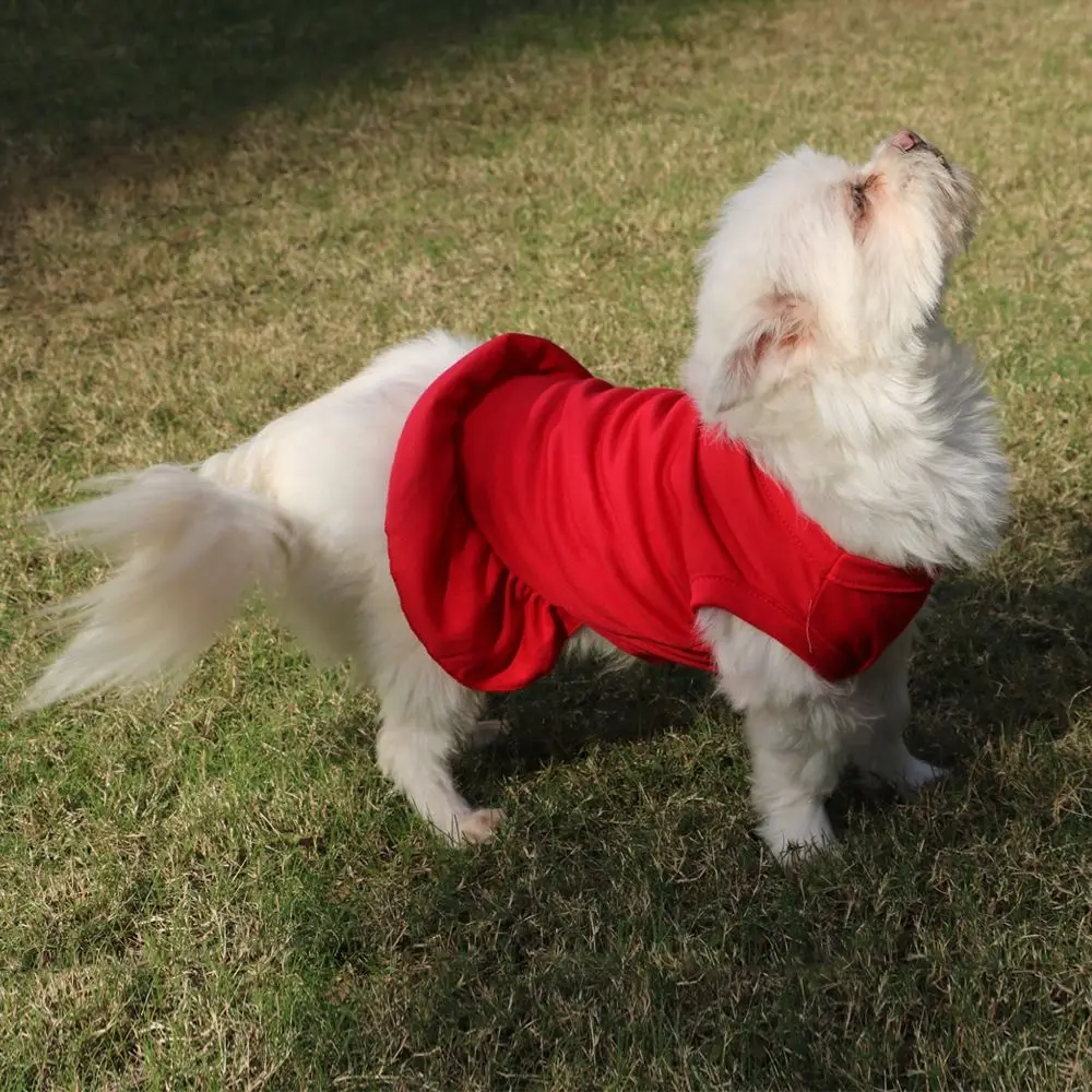 

Comfortable Sleeveless Pet Summer Clothes Breathable Soft Cat Skirt Fashionable Thin Design Dog Vest For Puppy Small Animal
