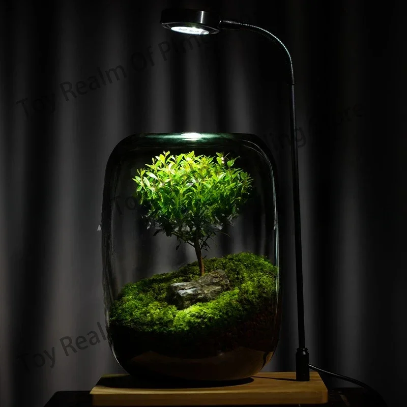 Creative Desktop Moss Micro Landscape Bonsai, Easy To Preserve Green Plants, Glass Flower Pots, and Potted Plants