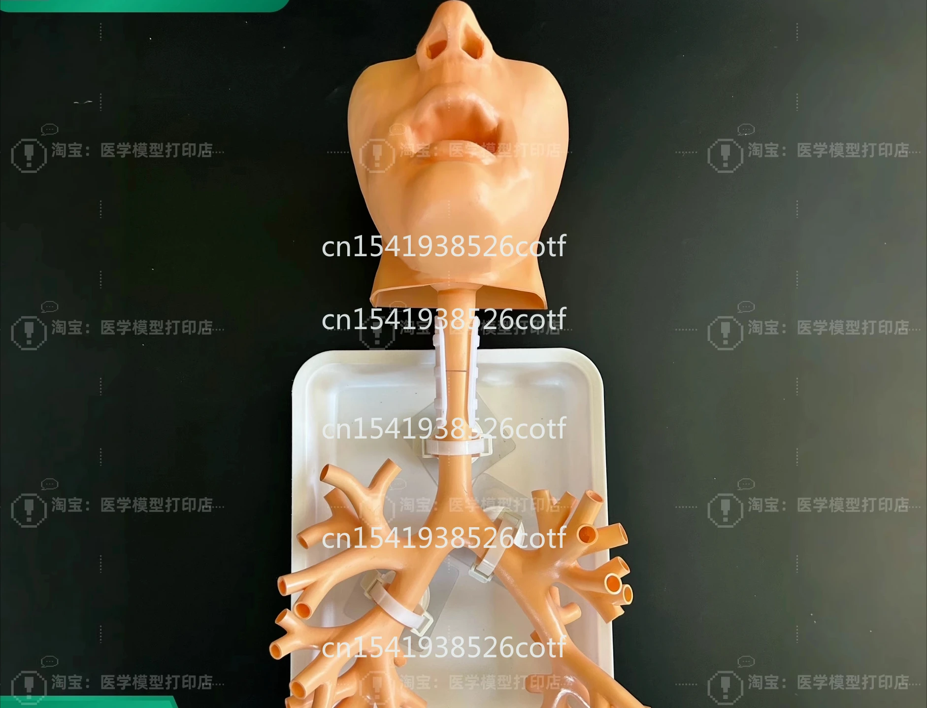 

Bronchoscopy training model fiber level 4