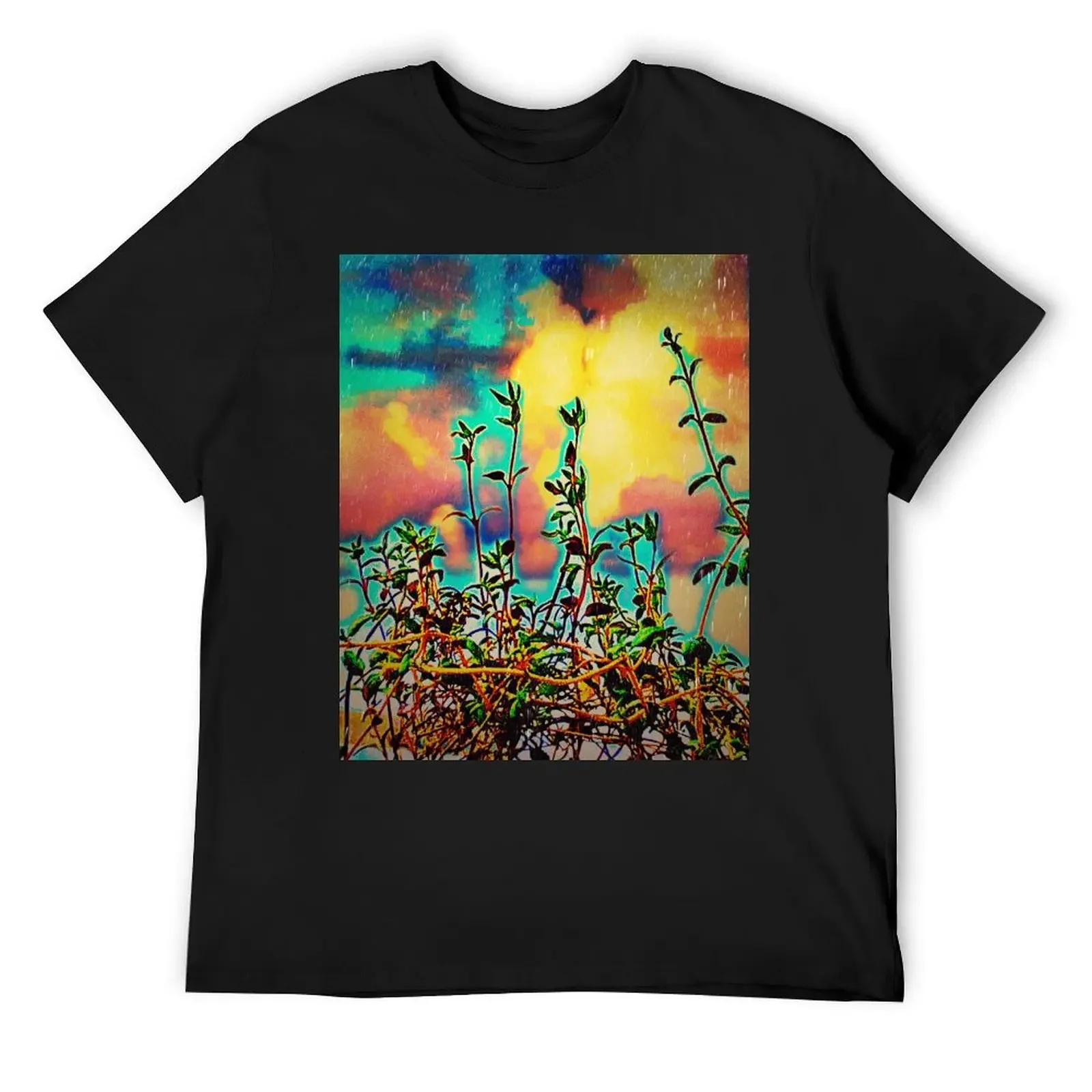 

Water and Thyme T-Shirt football t shirt vintage clothes boys animal print T-shirt men