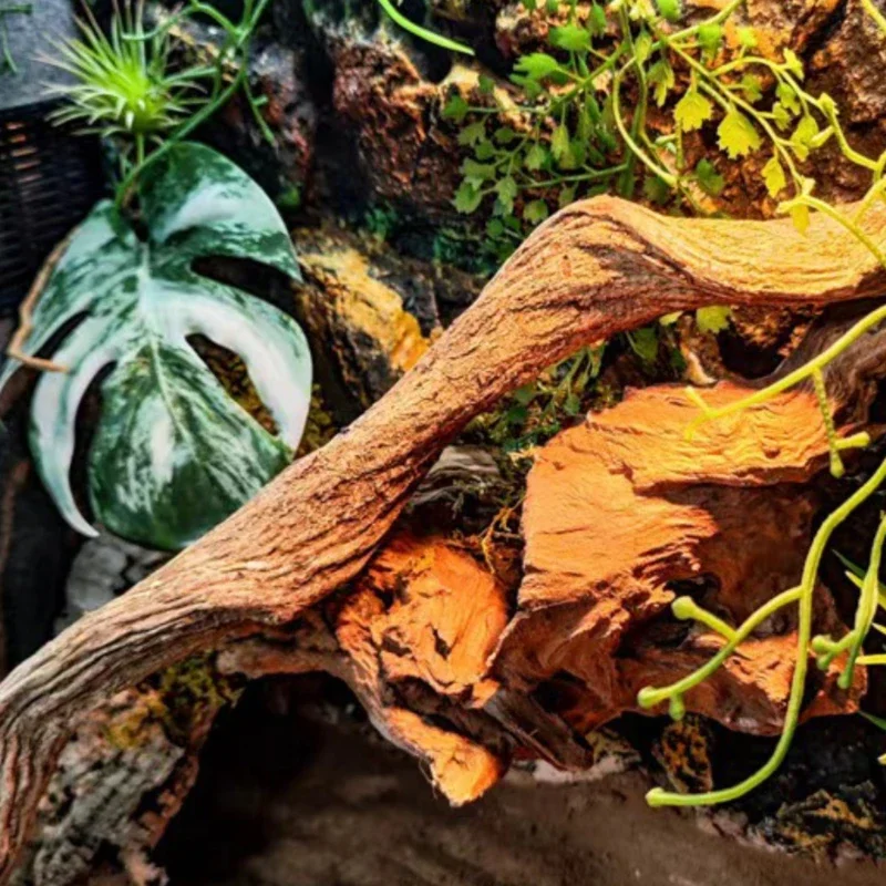 Climbing Pet Climbing Wooden Landscape Tree Vine Natural Dead Wood Crawler Rainforest Tank Tree Frog Crossing River Dragon Vine