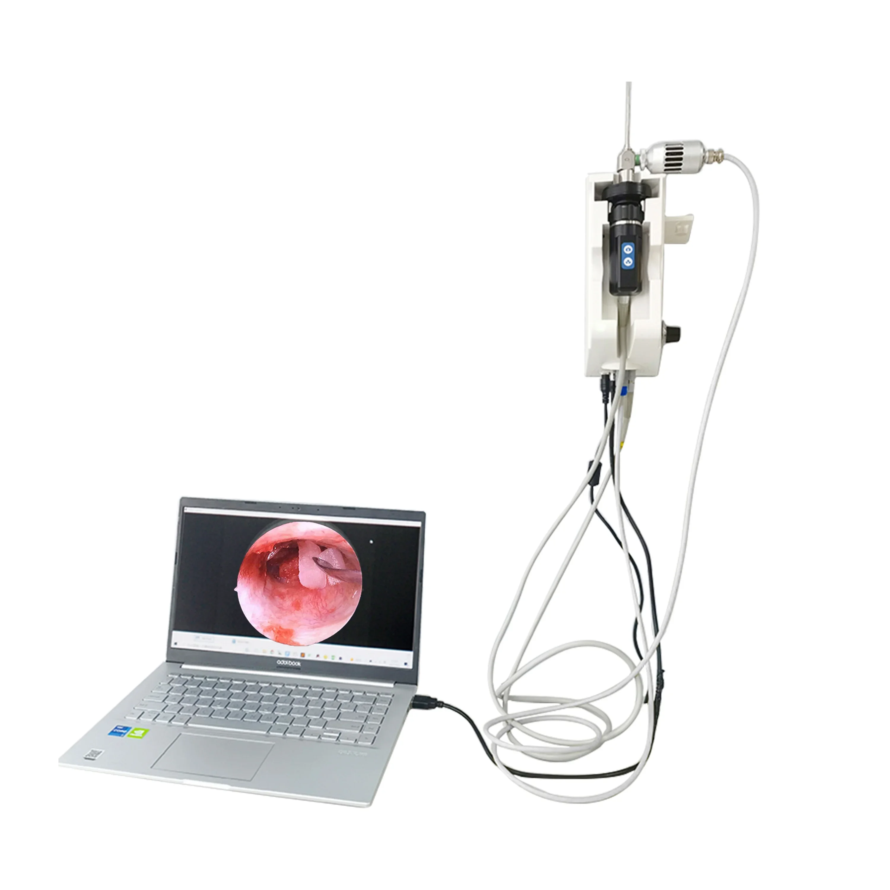 

HEIZLE Pet Animal Video Otoscope Endoscope System Digital Endoscopy Wall-mounted Veterinary System With Ccd