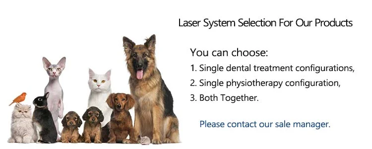 YUWEI VT101 Wound Healing Pet Veterinary Surgical Diode Laser 980nm 15W/30W Cutting Soft Tissue Therapy Machine CE Certified