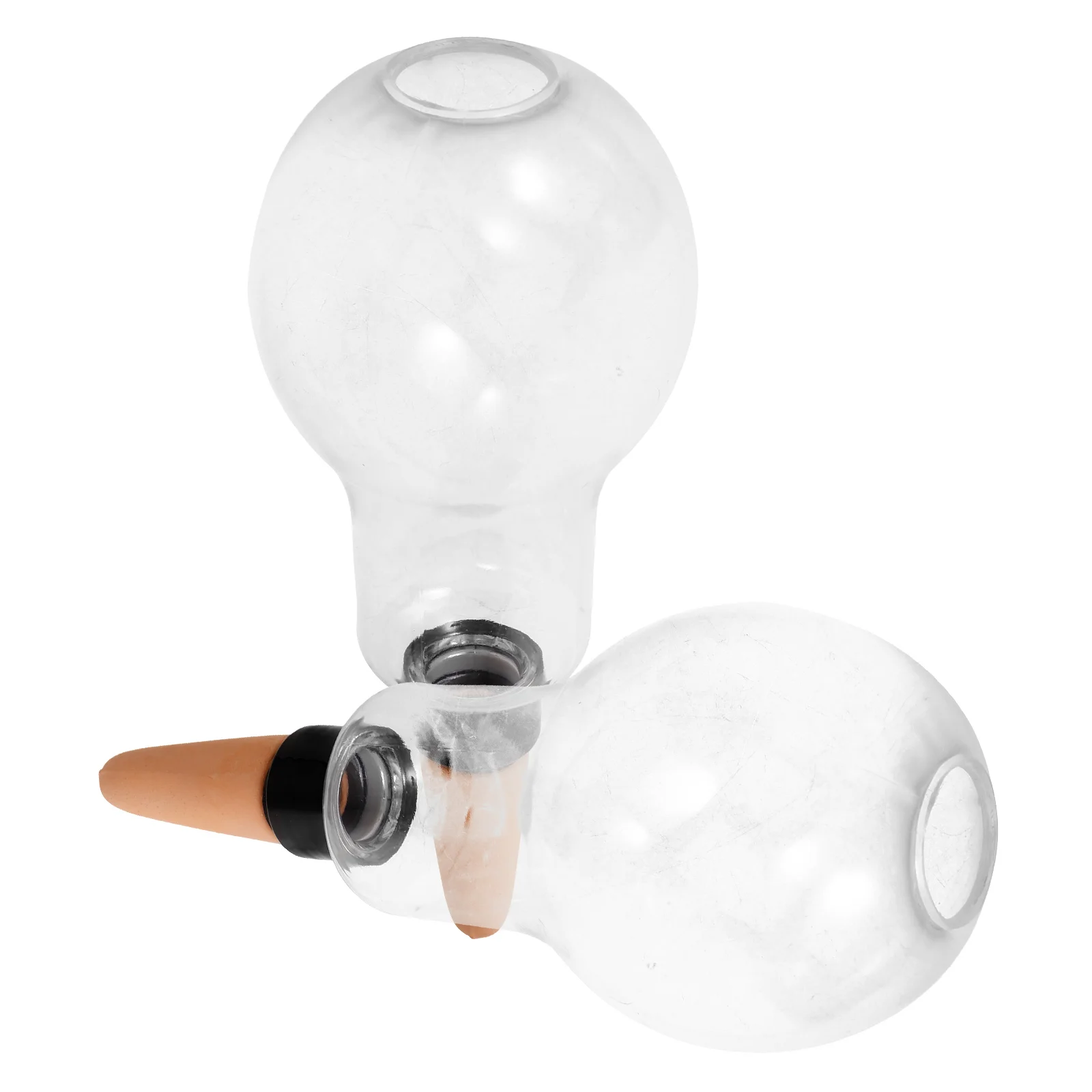 

2Pcs Automatic Plant Waterer Self Watering Bulbs for Indoor Outdoor Plants Succulents Planter Watering Globes Plant Care Device