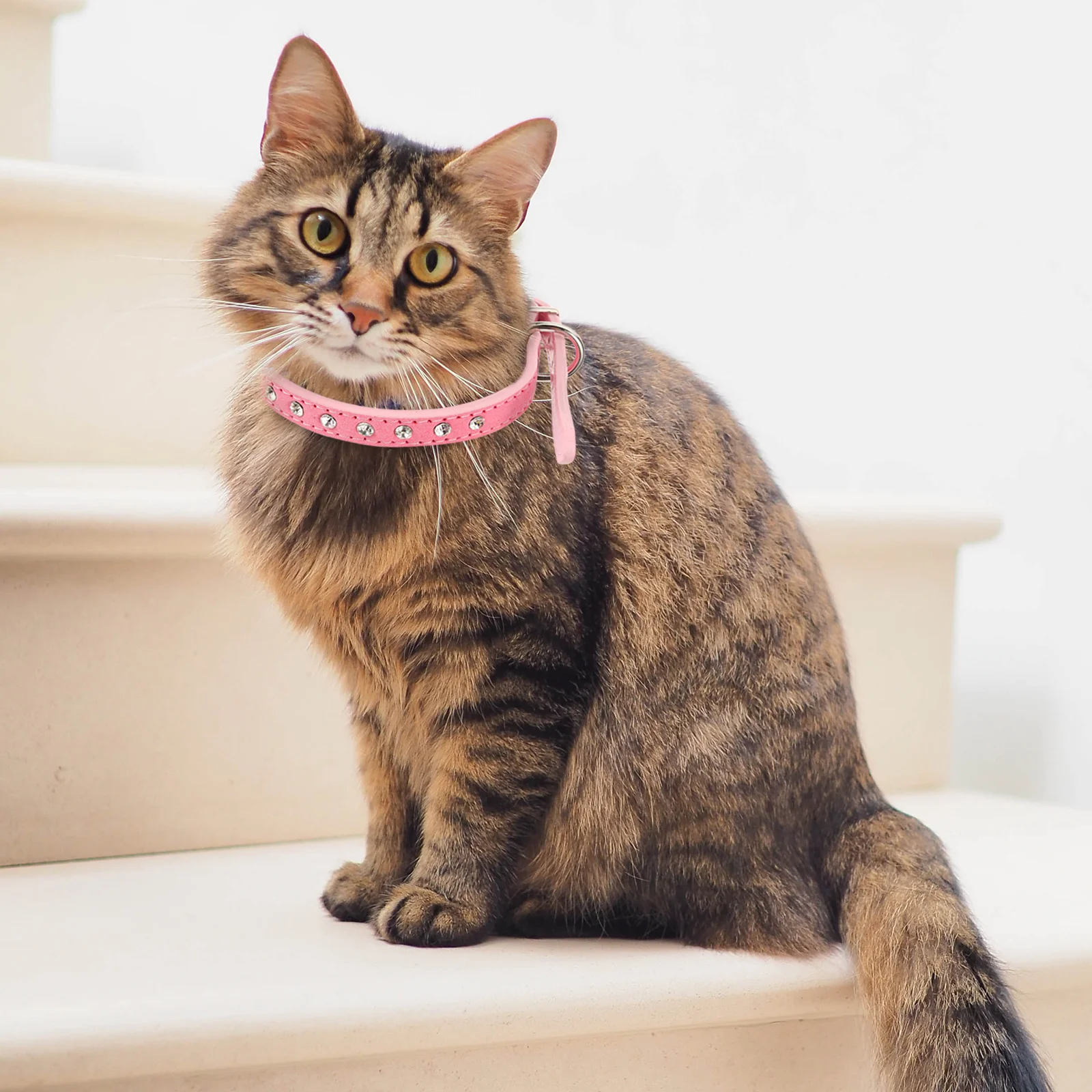 

PU Pet Collar Adjustable Pink Rhinestones Decorated Alloy Buckle D Ring Size S for Dogs Cats Puppies Pet Collar