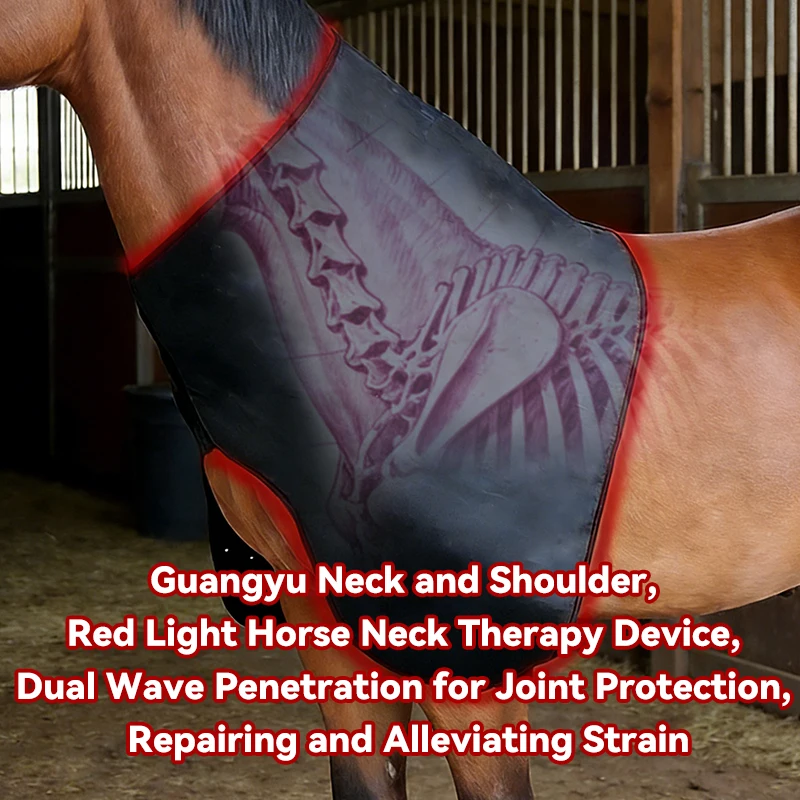 Multi-Wavelength Red Light Therapy for Horses Legs and Back - OEM/ODM Horse Therapy Equipment with ROHS Report