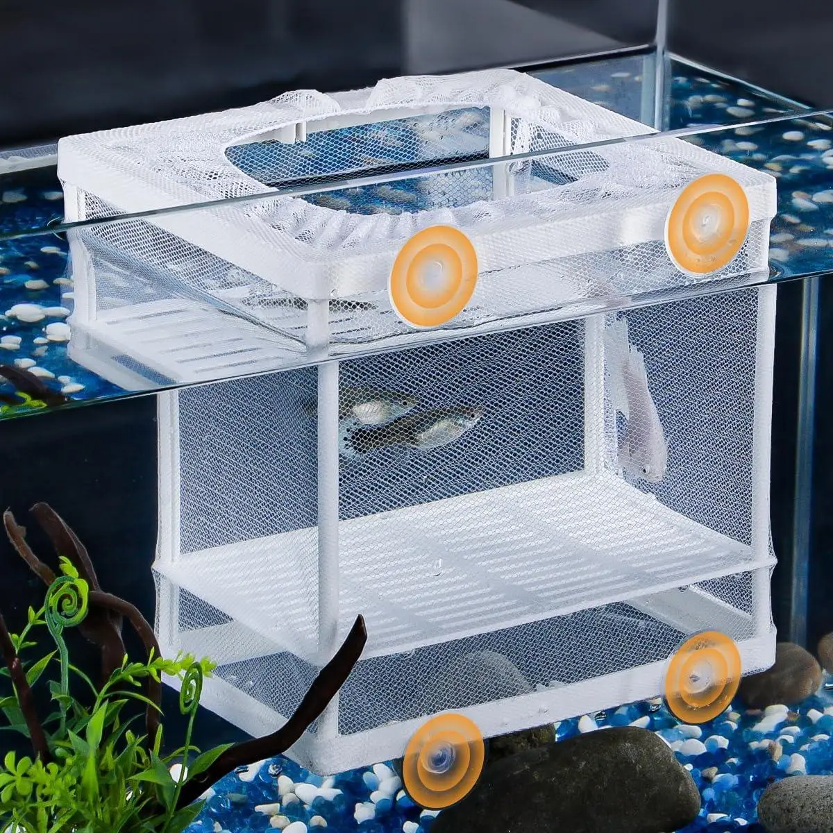 Caja de Cría para Acuario con Malla de Nylon y Ventosas, Red de Aislamiento para Peceras, Incubadora para Cría de Alevines, Camarones y Bettas
