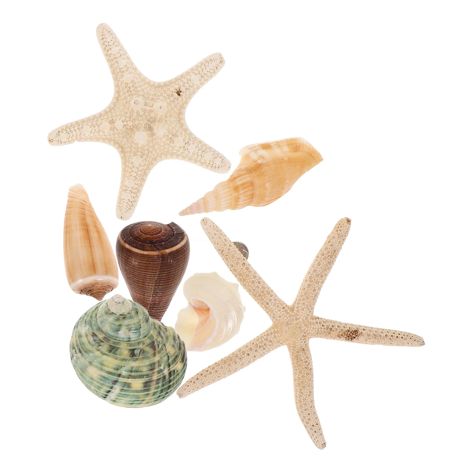 

7pcs Shell Fridge Magnets Stickers Refrigerator Magnet Decorative Freezer Seashell Decals Home Office School Magnetic