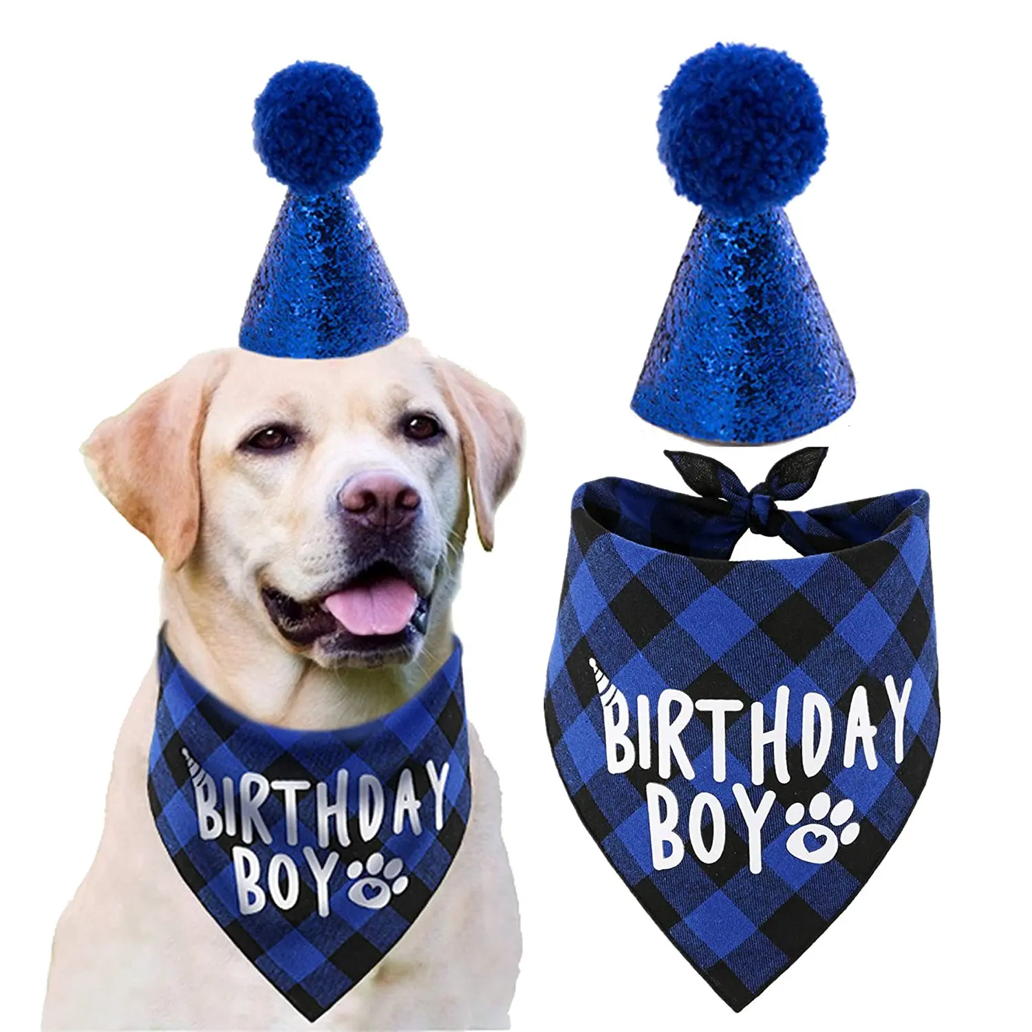 Dog Birthday Supplies,Pet Birthday Hat and Boy Doggy Birthday Bandana Set