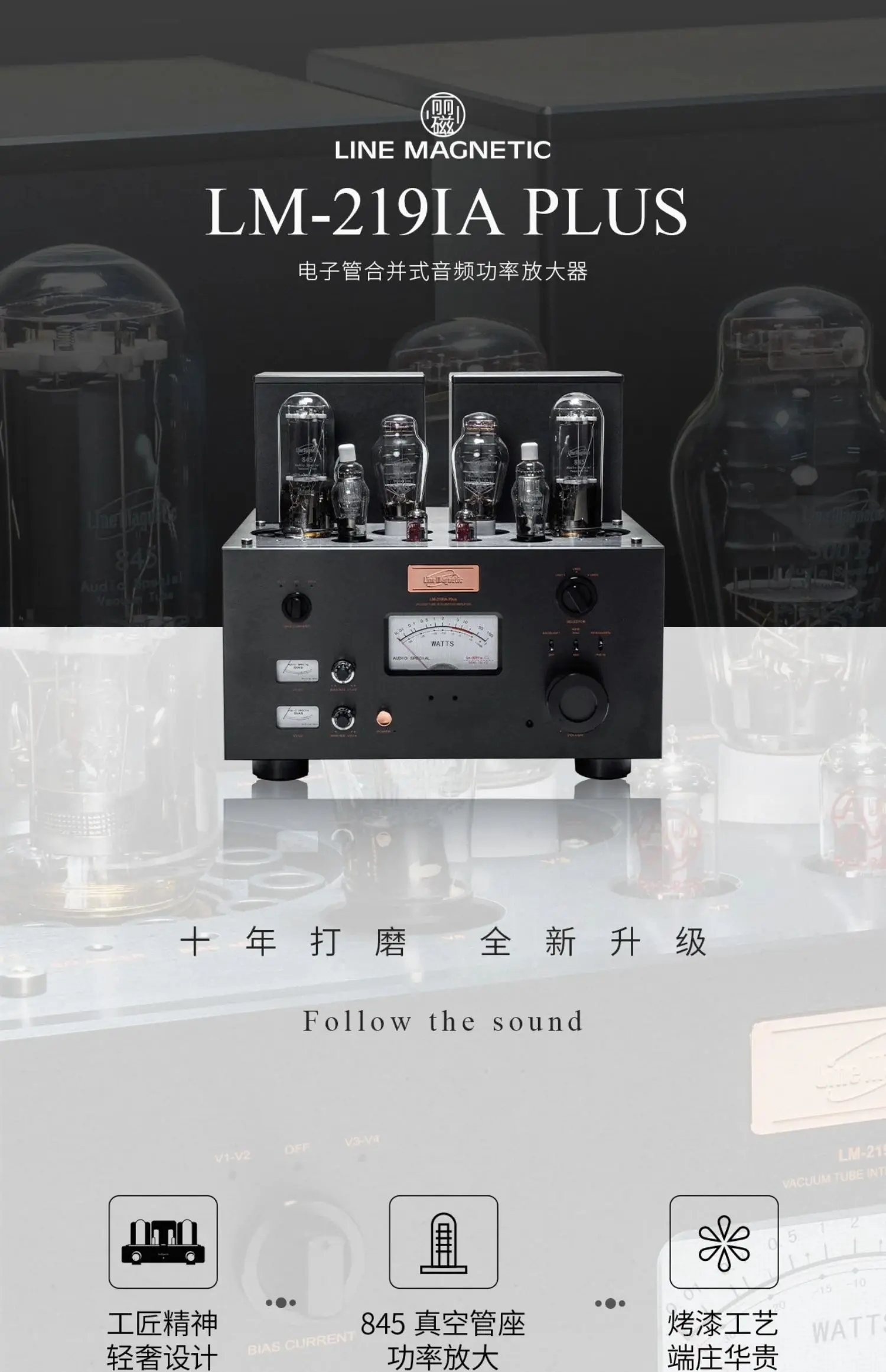 Lici LM-219IA PLUS + Gold Ensemble combiné audio machine 100 gallons