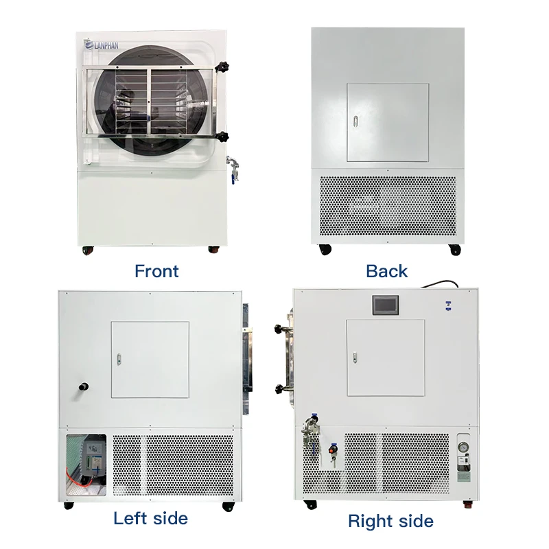 Liofilizzatore sottovuoto industriale di grandi dimensioni per frutta e verdura con veleno di serpente