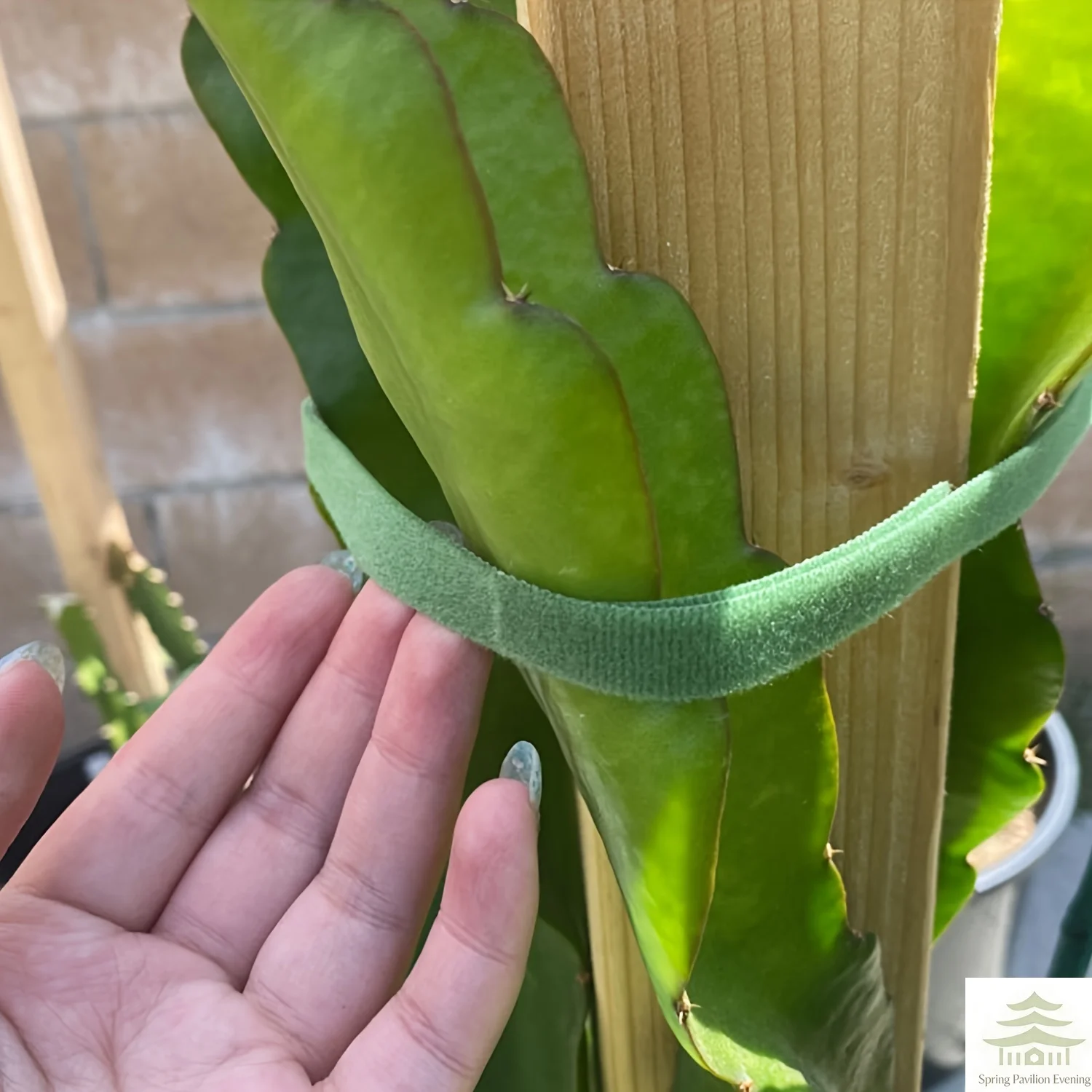 Thumbnail 4 - #8 Best Hook and Loop Fasteners to Buy In 2026