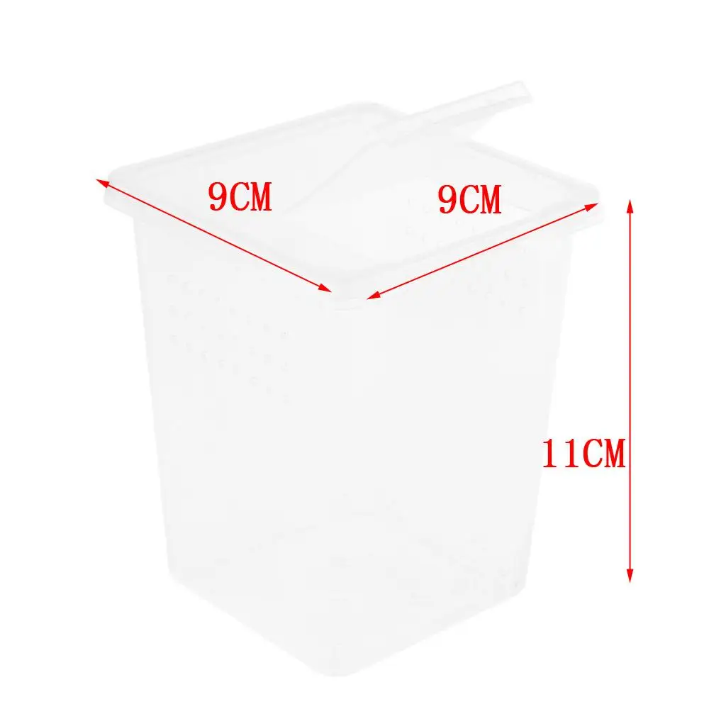 Plastic Insect Habitat Feeding Box Case Container Tank Transport Case Hatching Tank Reptile Tank Habitat Case