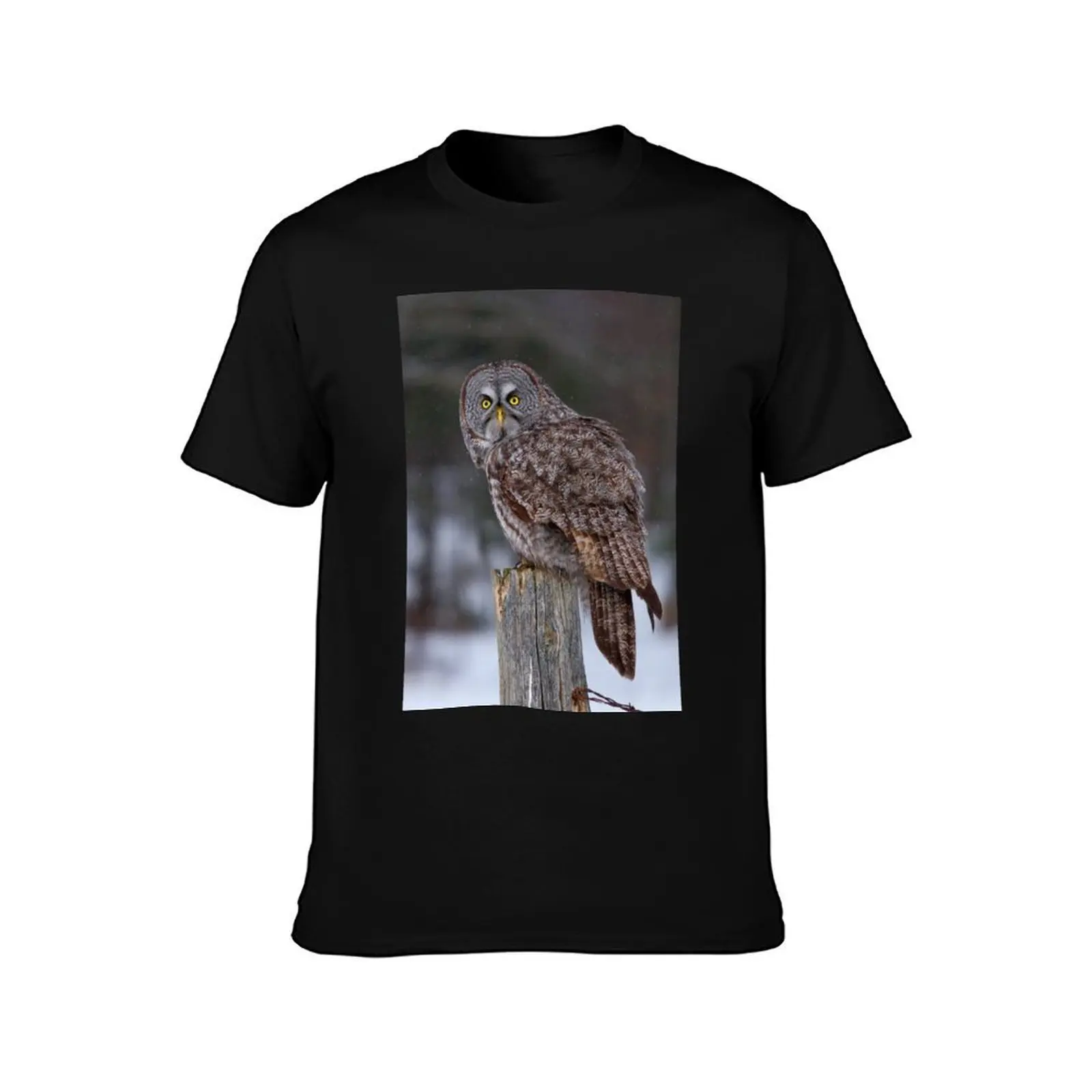 Piss Off! - Great Grey Owl T-Shirt Running Gym Short Sleeve Sports Tee