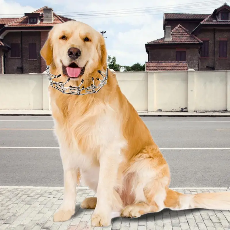 Hunde halsband Metall Eisen mit Gummi hüten Halskette Kette für das Training Haustier Sicherheit erste Lieferungen für kleine mittelgroße Hunde Welpen