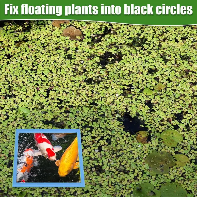 Aquarium Floating Rings Square Floating Plant Corral 10 Pcs 5 Sizes Aquarium Feeding Ring For Intercepts Floating Plants image 4