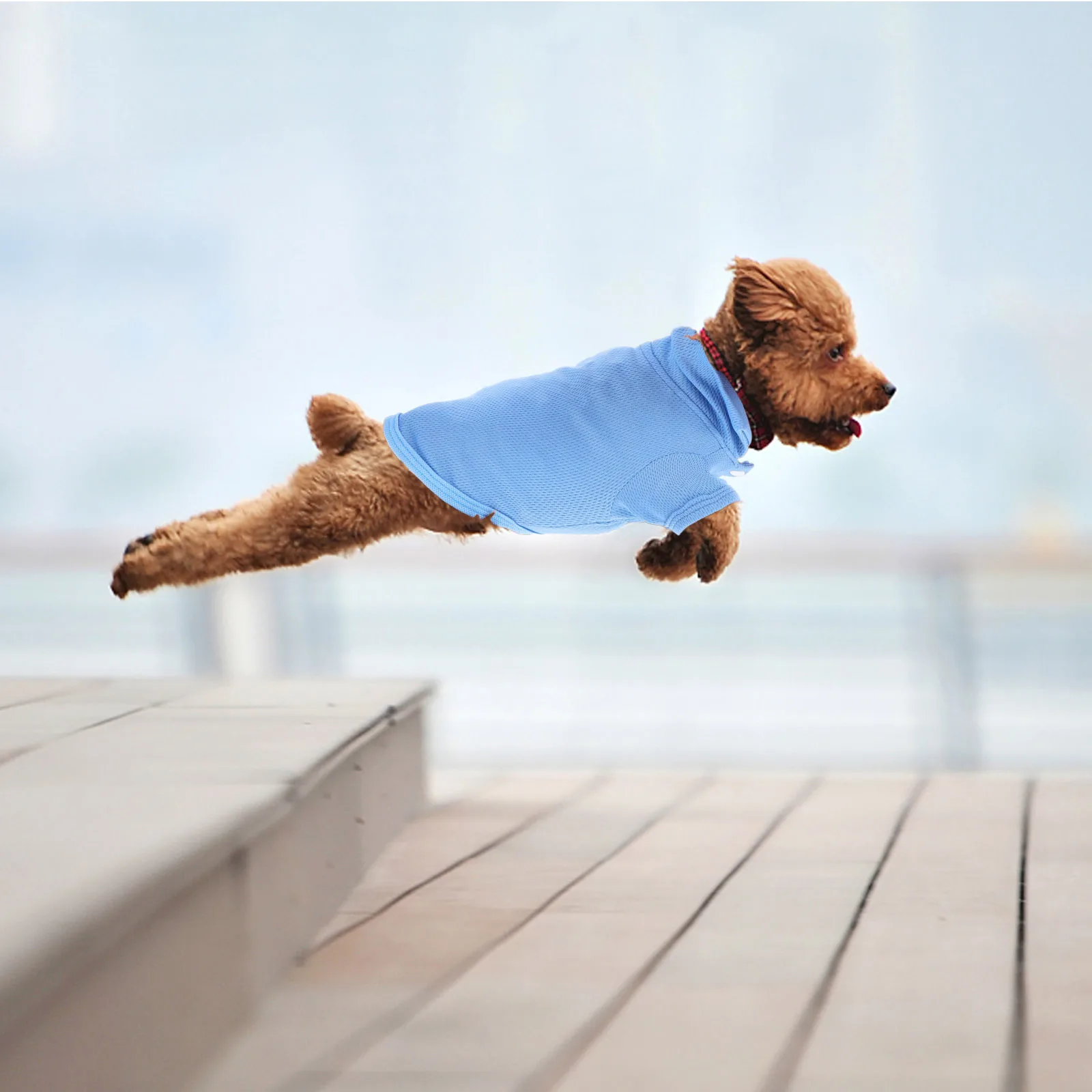 

4 Pcs Breathable Pet Clothing Puppy Shirts Dog Comfortable Clothes Cotton Lightweight