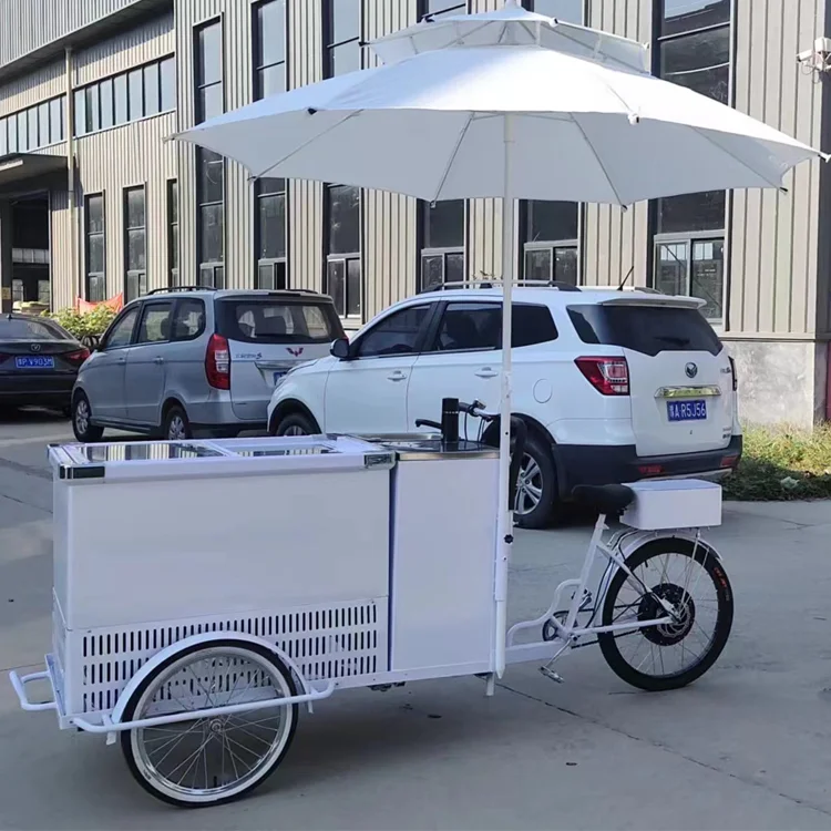 Freezer Electric Scooter Electric Tricycles 3 Wheel Electric Cargo Bike With Mini Cold Room