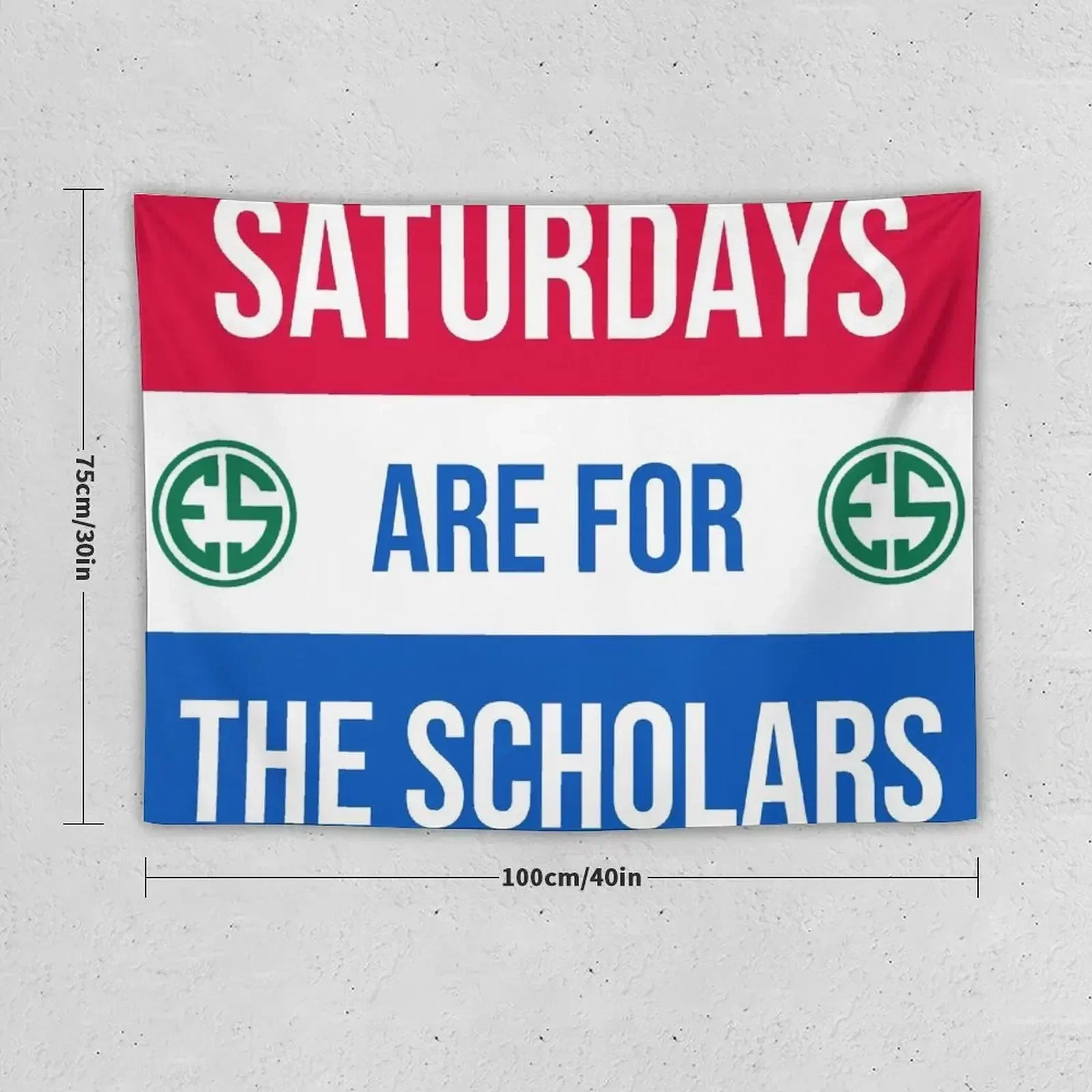 evan scholars saturdays are for the scholars Tapestry Aesthetic Room Decoration Carpet Wall Bedroom Deco Tapestry