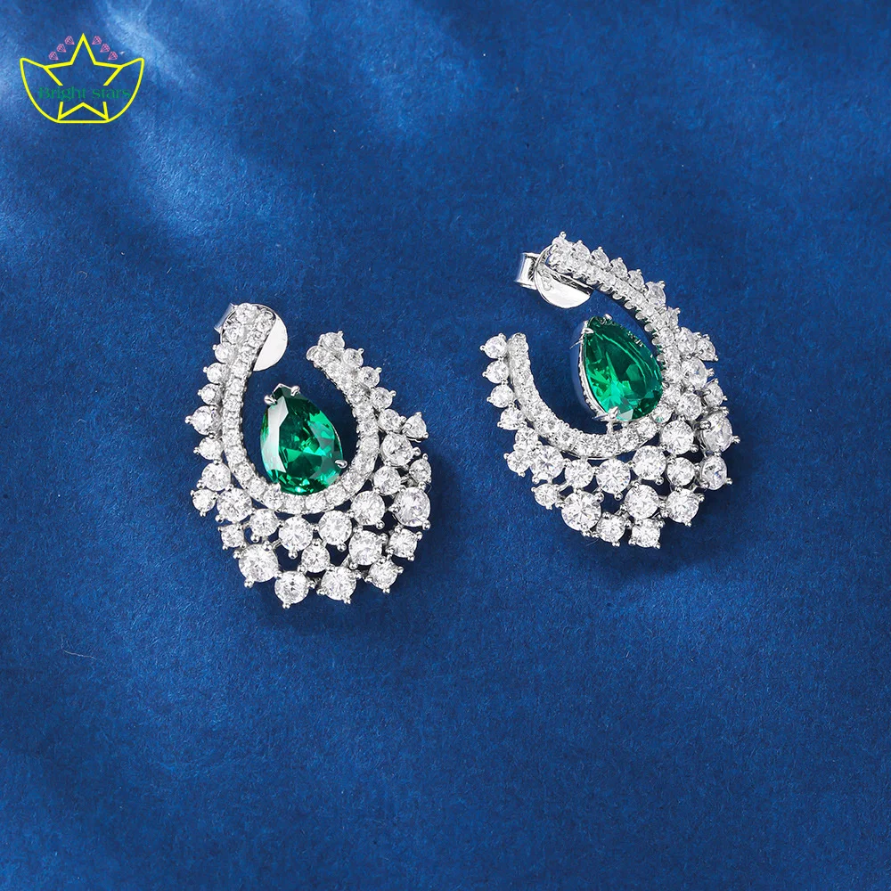 Bright Stars 925 sterling silver earrings Women's Ice flower earrings light luxury style earrings drop high sense earrings