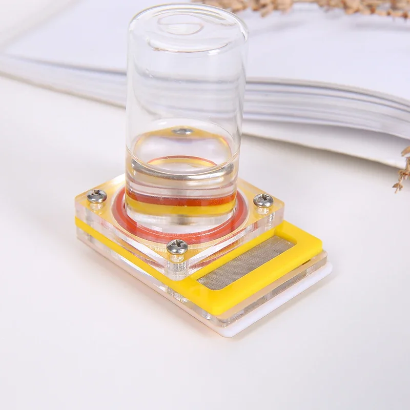 1PCS Pet Ant Spider…