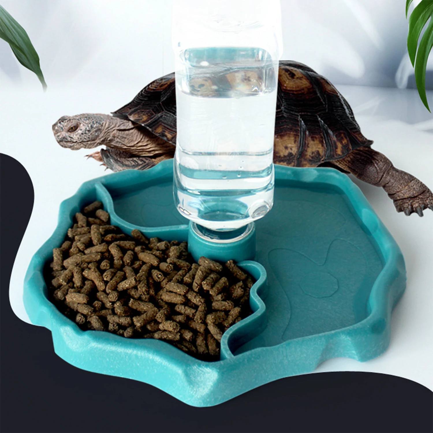 Cuenco de comida y agua para tortugas, alimentador automático, botella de agua para reptiles, bebedero, cuenco de agua, bandeja de alimentación para lagarto