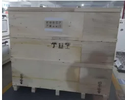 

Настраиваемый OEM-термобокс для гель-электрофореза EC-WBG01 для анализа белков в лабораториях