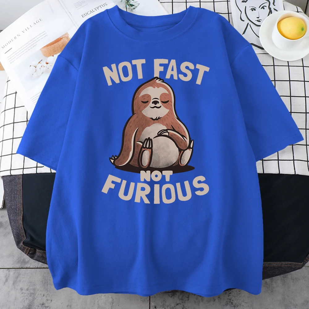 Not Fast Not Furious Kawaii Sloth Print Clothing Men Street Oversized T Shirts Breathable Cotton Streetwear Breathable T-Shirt view 2