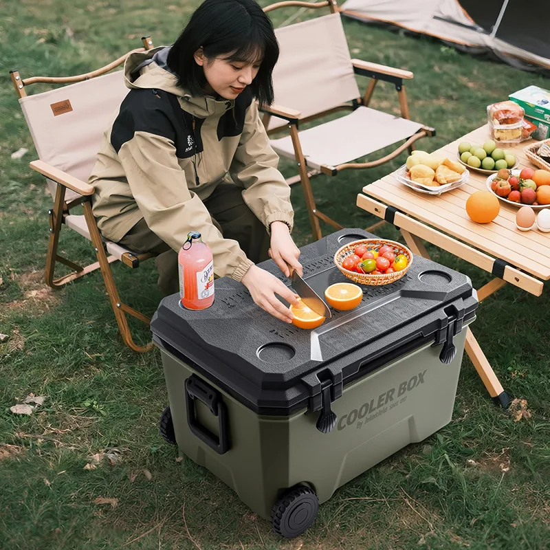 

Camping Multi Function Cooler Food Grade Transport Portable Mini Fridge Portable Insulated Cooler Box Camping Cooler Ice Box