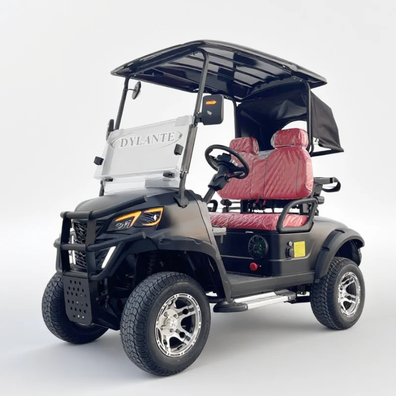 جديد وصول تلون 2 4 6 8 10 12 مقاعد على الطرق الوعرة الشارع النادي القانوني سيارة الصيد عربات التي تجرها الدواب عربة جولف كهربائية #1