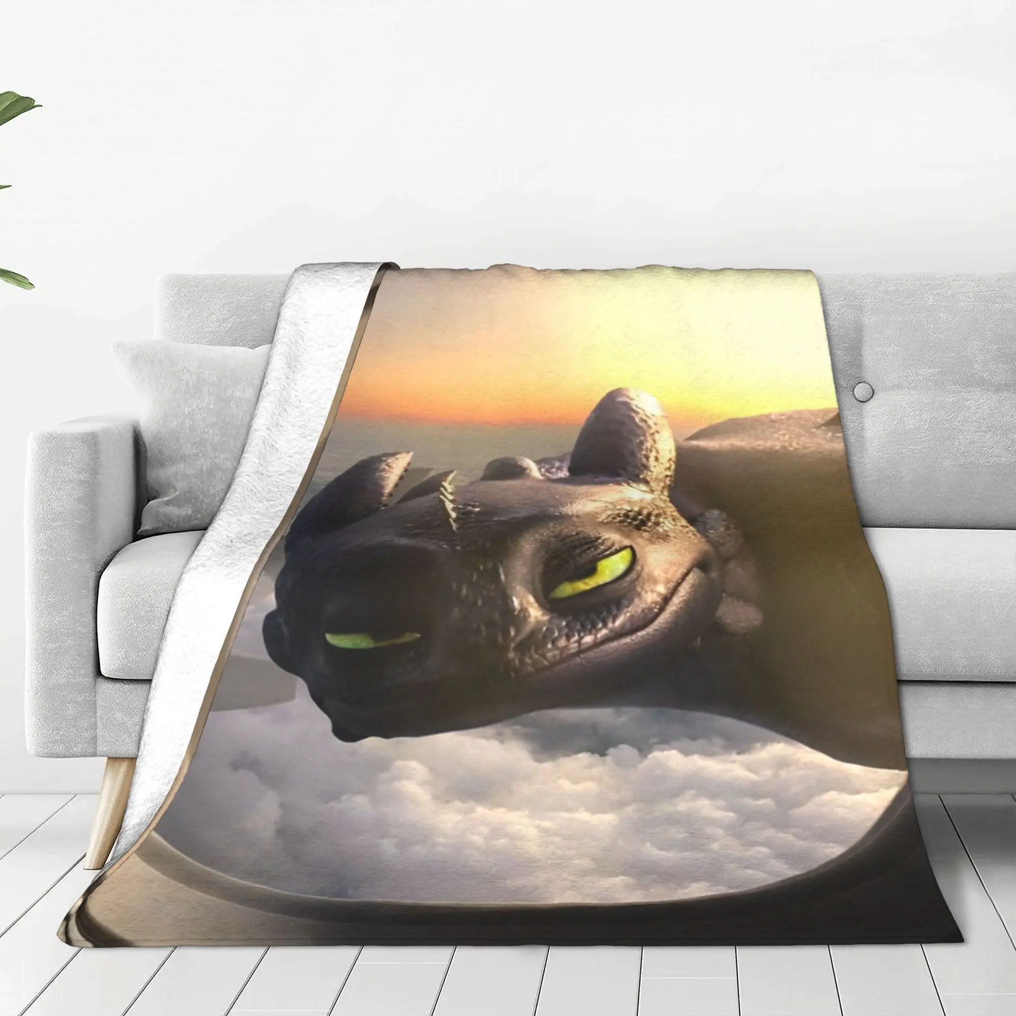 Funny How to Train Your D-ragon Blanket Plush Awesome Breathable Throw Blanket for Home Restaurant  Winter