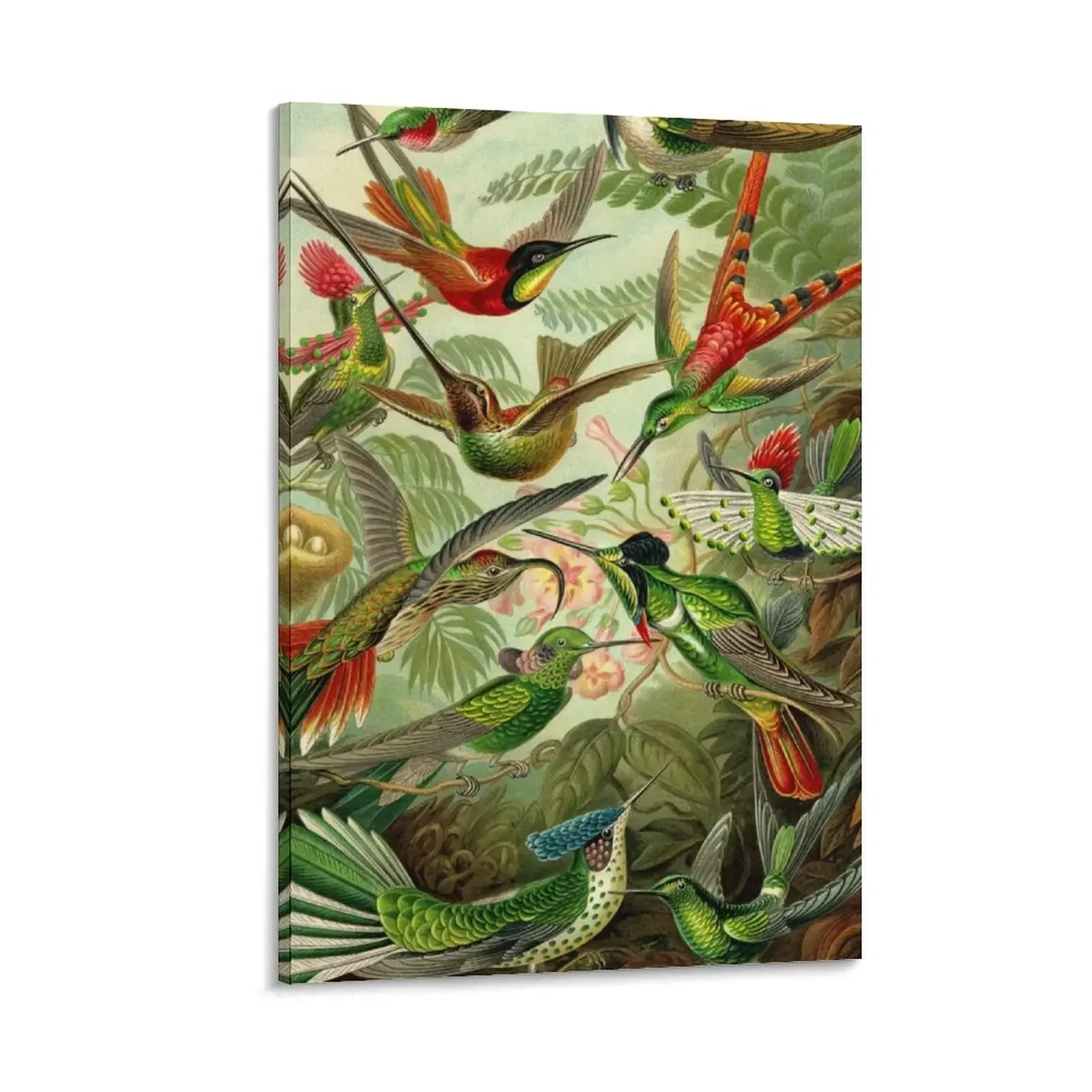 

Colibri - Ernst Haeckel Canvas Painting Paintings for bedroom posters for wall wall decoration