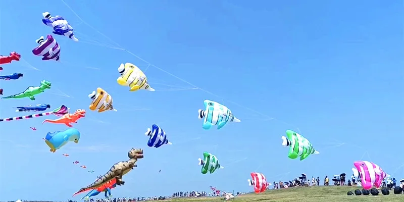 Cerf-Volant Souple Gonflable en Forme de Poisson Volant, avec Pendentif, Grand Moulinet, Idéal pour le dehors en Plein Air et le Parapente, pour Adulte