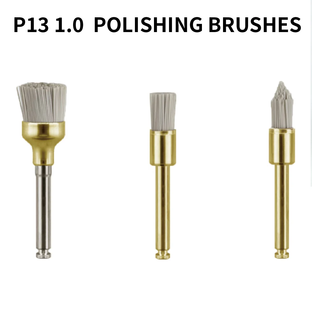 10pcs Polishing Brushes with Silicon Carbide Grit P13 1.0– Clean, Polish & Brighten Composite Restorations – No Paste Needed, Au