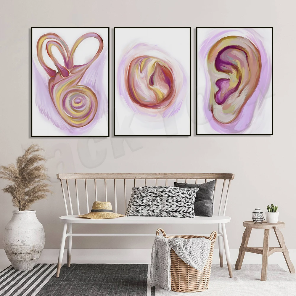 Otolaryngology Anatomy, Otolaryngology Gifts, Ear Anatomy Art - Audiology Art - Otolaryngology Medical Office Decoration Poster