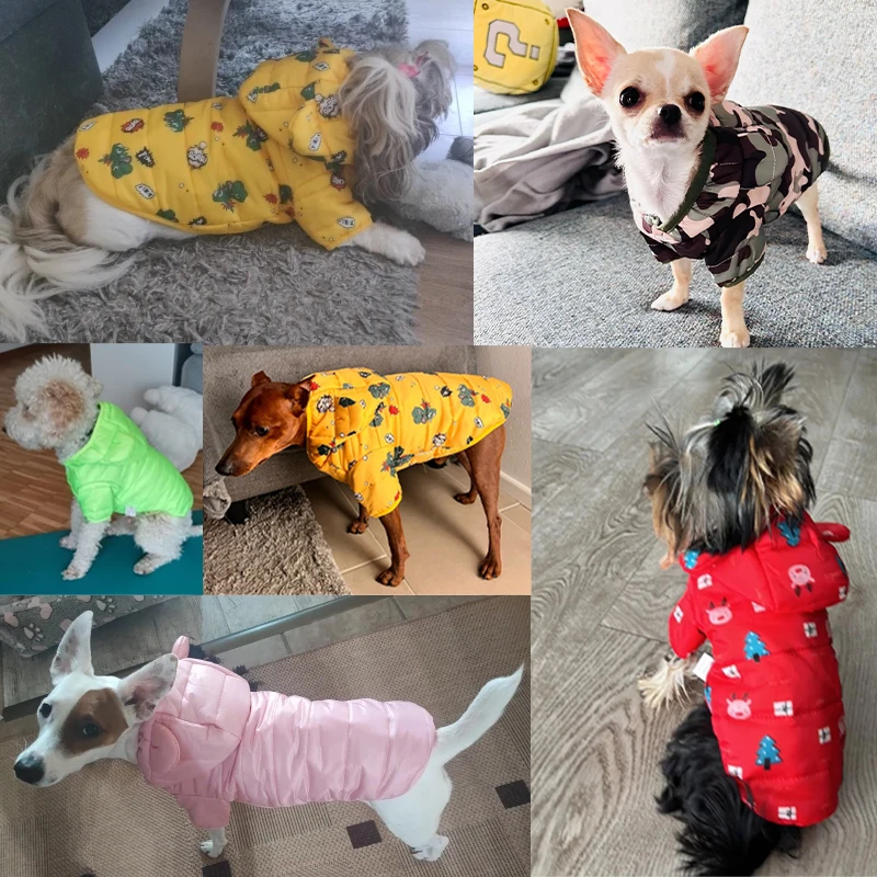 Chaqueta de plumón a prueba de viento para mascotas, ropa cálida para perros pequeños y medianos, abrigo para cachorros, Chihuahua, Shih Tzu,