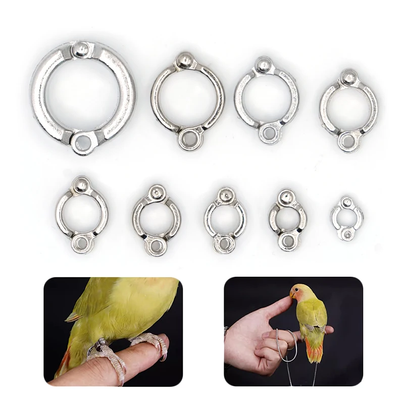 Parrot Leg Ring Stainless Steel Pet Bird Leg Ring Outdoor Flight Training Activity Anti Loss Open Leg Ring Foot Ring Chain