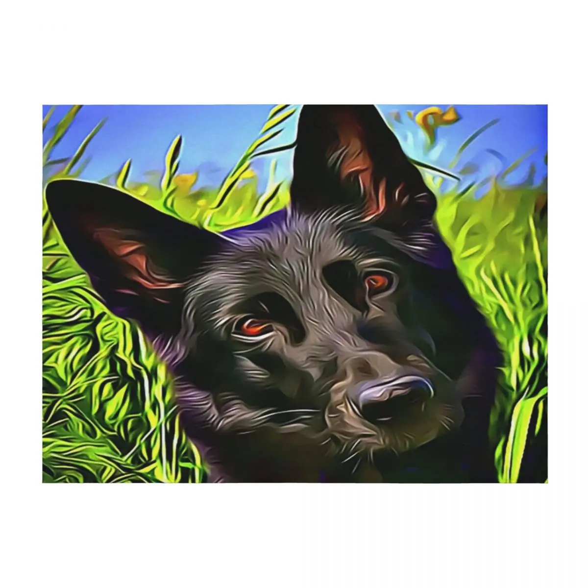 

The Belgian Schipperke Throw Blanket Picnic Bed Fashionable Plaid on the sofa wednesday Blankets