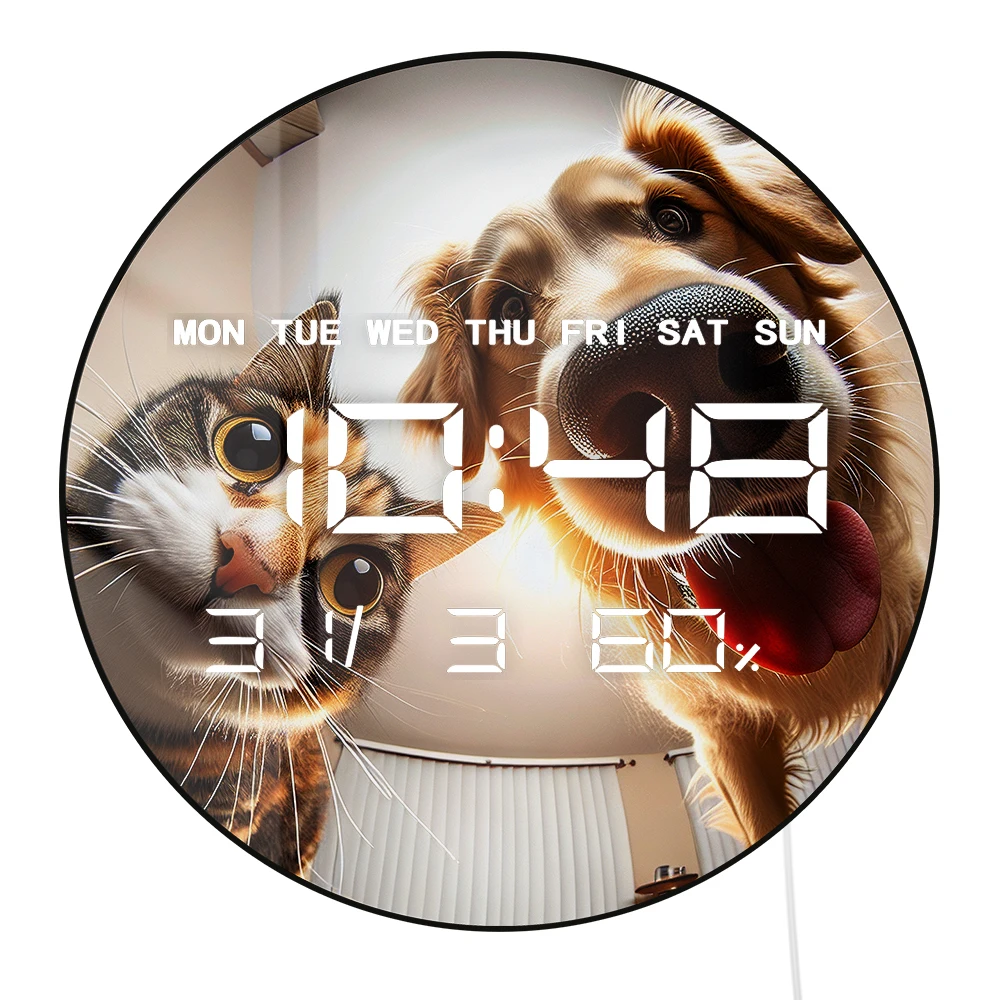 Cat And Dog Large D…