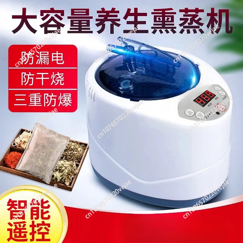 Steam Generator 220V/110V EU US Plug 1000W Upgrade Capacity 2L Home Steamer Pot for Sauna Water Vapor