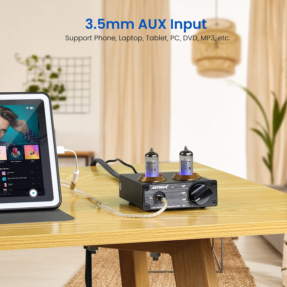 AIYIMA T3 Vakuum Vorverstärker Verstärker 6A2 Rohr MM Phono Vinyl Plattenspieler Stereo Vorverstärker Plattenspieler Vorverstärker Verstärker – Detail 8