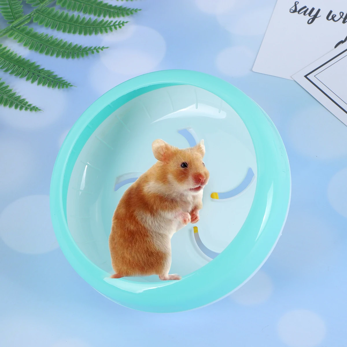 

Hamster Running Wheel Pet Exercise Wheel for Small Animals Silent Rat Toy Cage Mount Non Slip Stability Convex Lines Toys