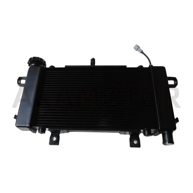 Water Tank Radiator Assembly for Loncin Voge 500ac Lx500-f/s 525ac